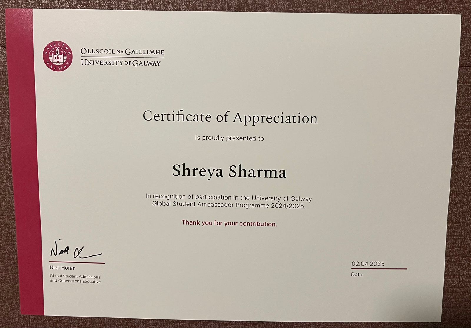 NUIG Student Ambassador